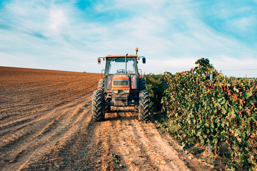 tractor in cultura de vita de vie